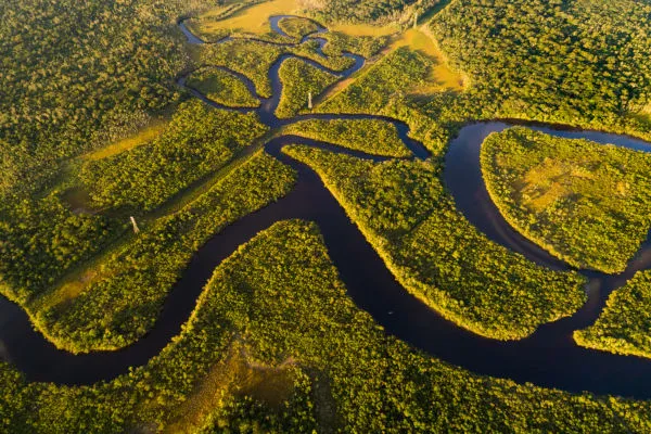 Nova lei sancionada pelos deputados visa à educação ambiental e proteção da Amazônia